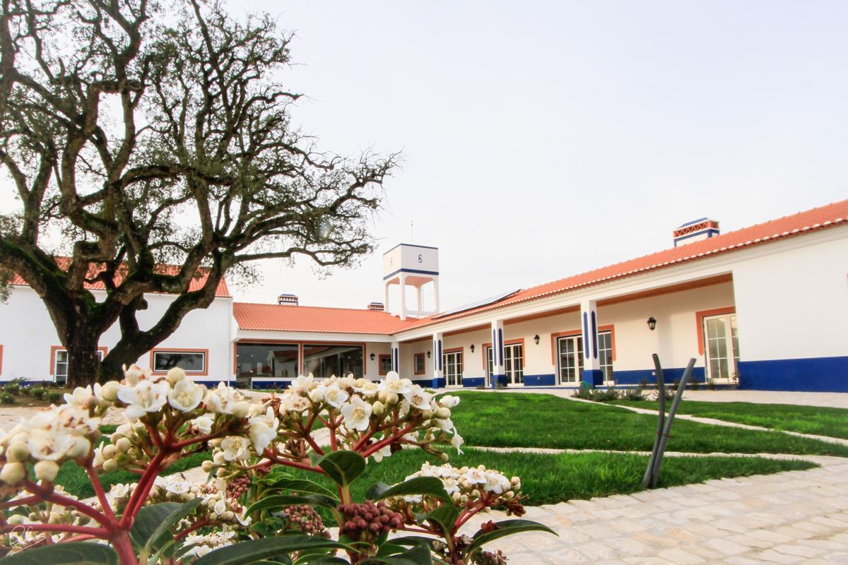 Quinta Da Torre - Casas De Campo Bed and Breakfast Alenquer Zewnętrze zdjęcie